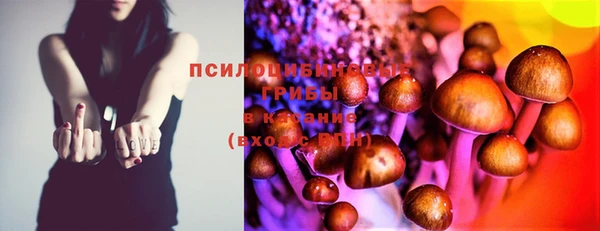 MESCALINE Нефтекумск