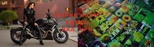 apvp Арсеньев