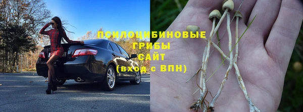 apvp Арсеньев