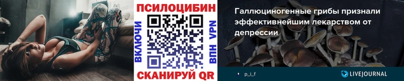 mega вход  Большой Камень  Псилоцибиновые грибы Psilocybine cubensis 